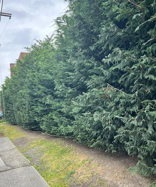 Landscape Maintenance in Kent 